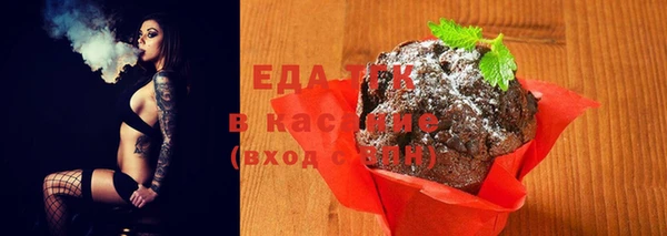 мдпв Заводоуковск