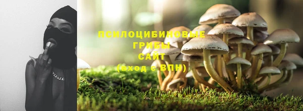 мдпв Заводоуковск