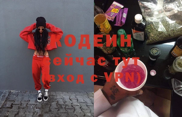 мдпв Заводоуковск