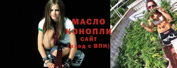 мдпв Заводоуковск